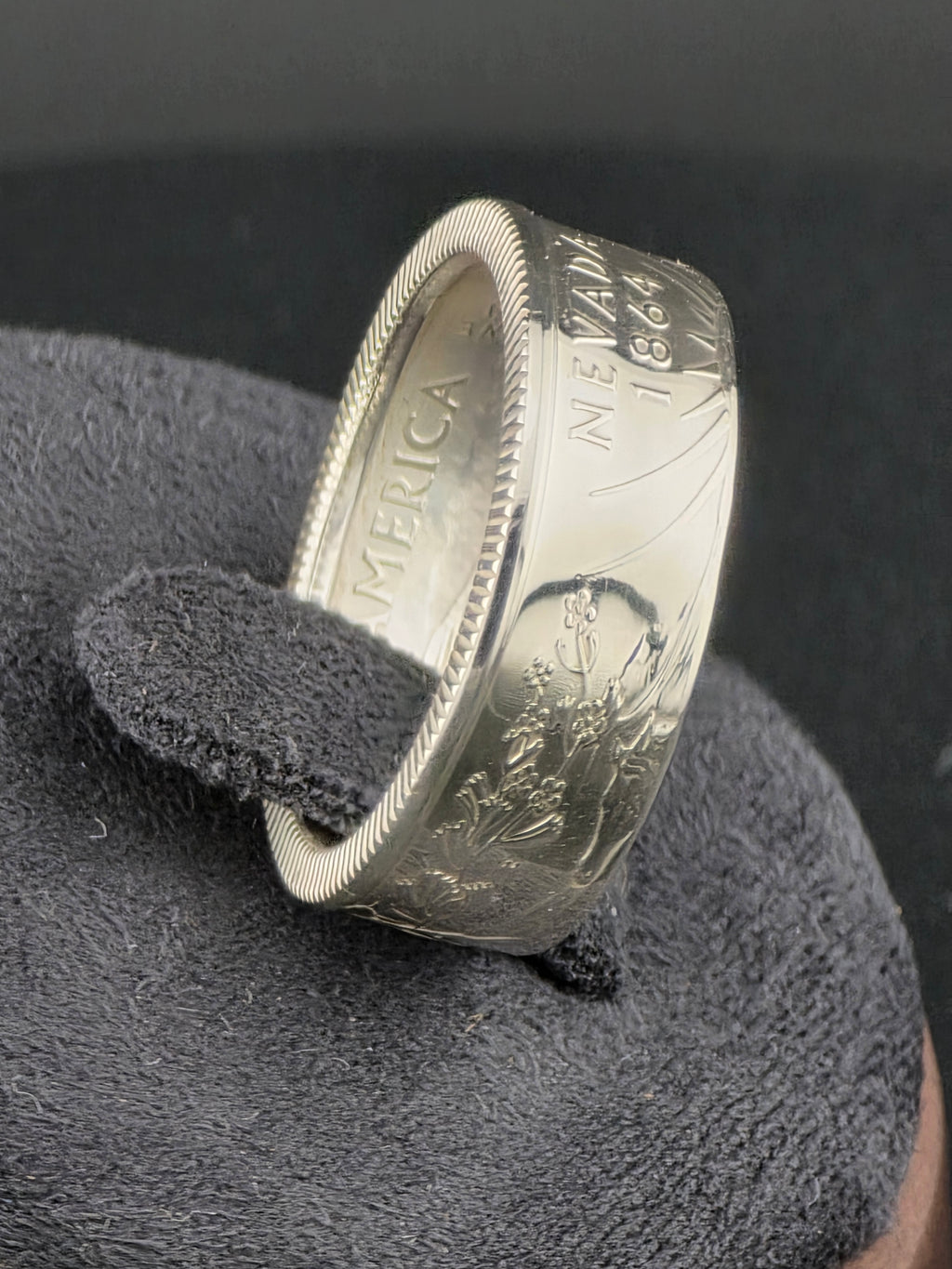 The Battle Born Sovereign (Nevada)